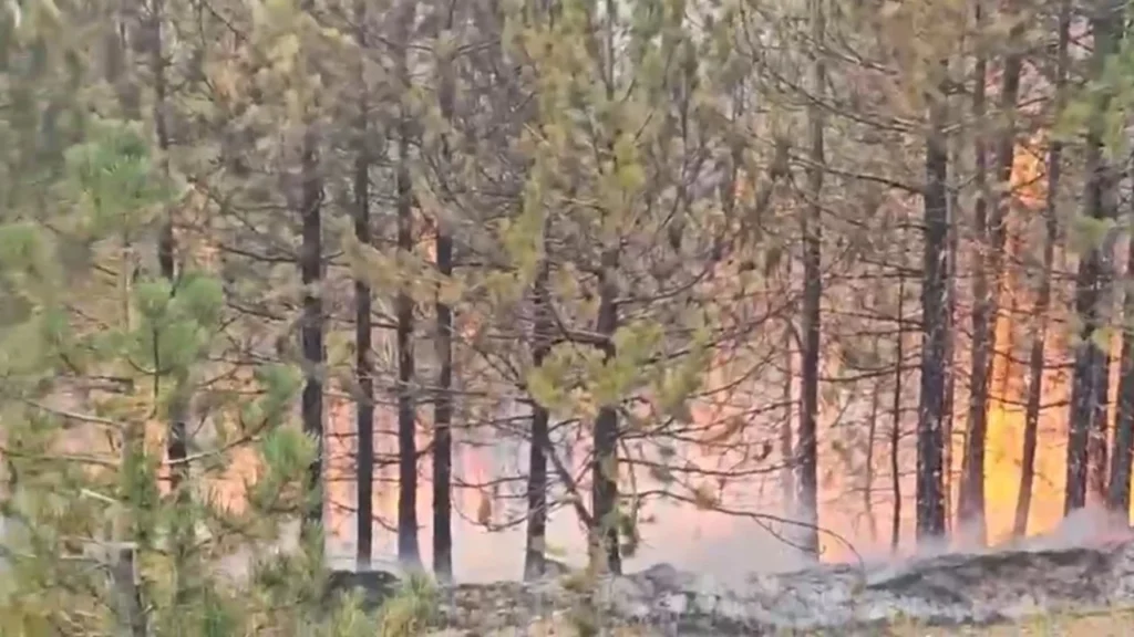 Zjarret përfshijnë Malin e Tërbunit, Gojanin dhe Gjegjanin, në terren 40 efektivë dhe dy helikopterë puke sd