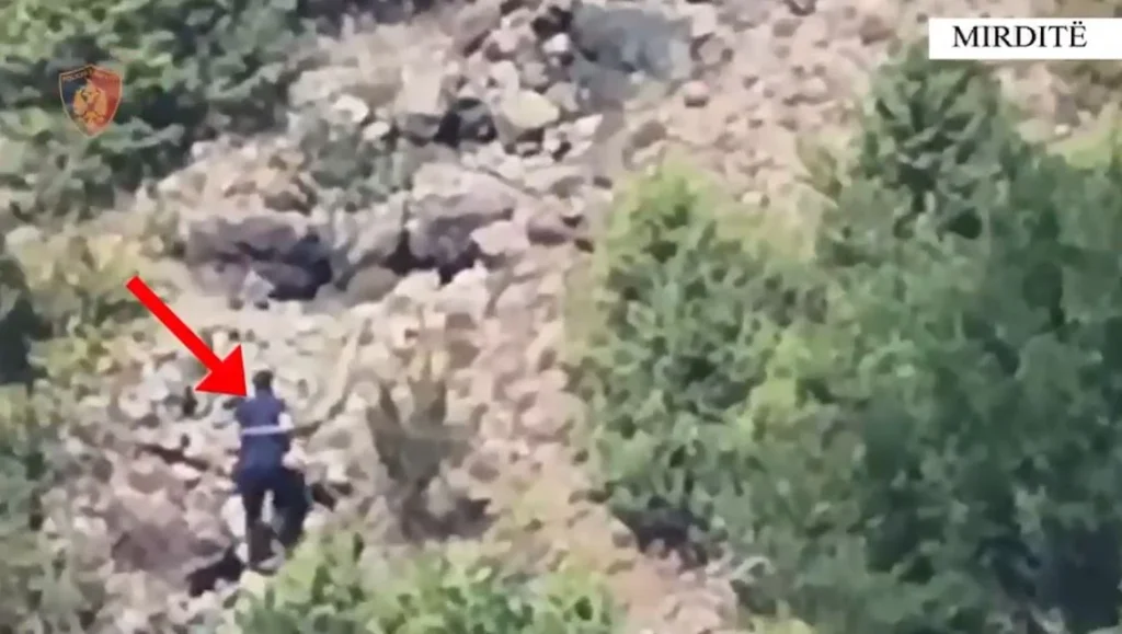 “Piromani”/ Ndezi 6 vatra zjarri në Mirditë, arrestohet 62-vjeçari, përfshihen nga flakët 15 hektarë zjarr mirdite