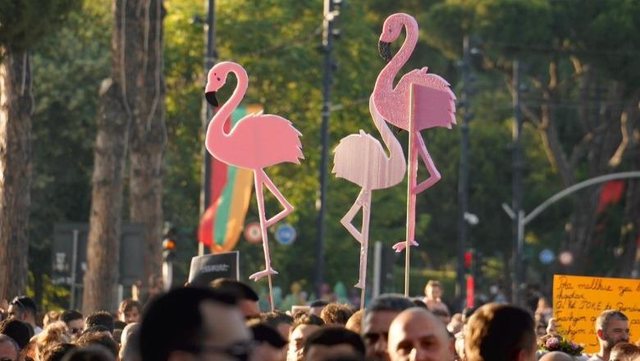 Flamingot e hershme të Shtëpisë së Verdhë Pata