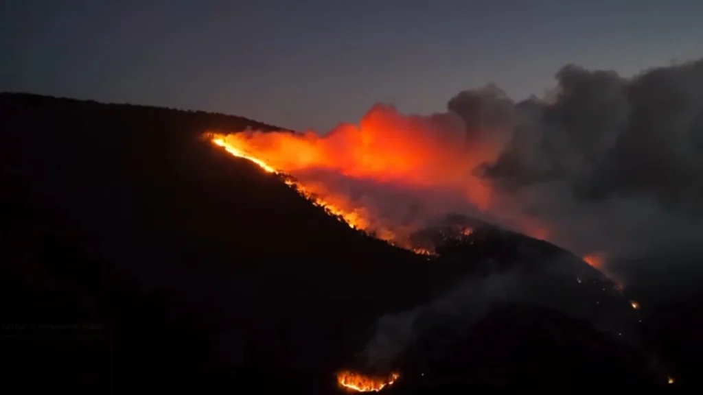 Zjarret në vend/ 14 vatra ende aktive, luftë nga toka dhe ajri për shuarjen e flakëve k sd