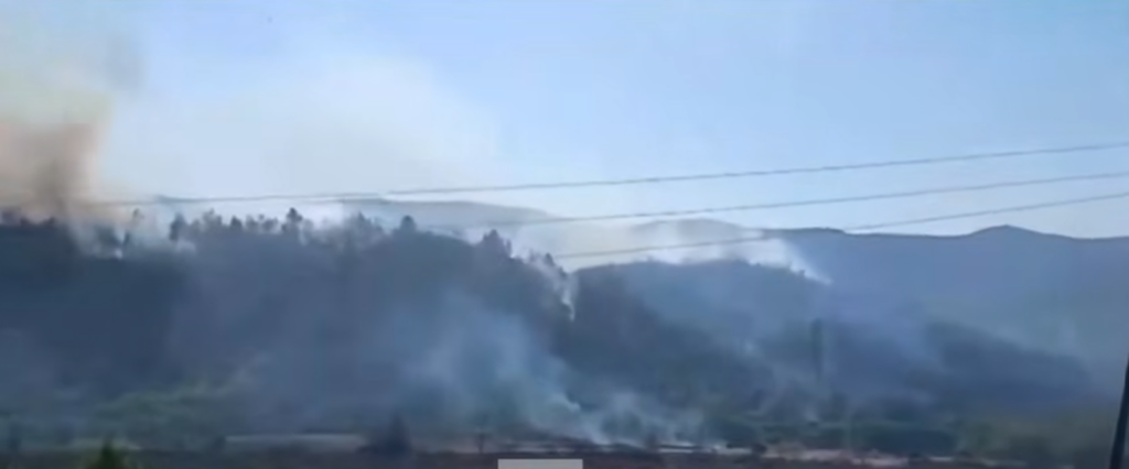 Zjarr i përmasave të mëdha në Kalivaç të Lezhës, flakët rrezikojnë zonën e banuar! lezhe