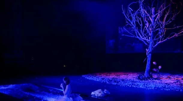 “Muzg në kopshtin e qershive”/ Vepra e Chekhov hap sezonin e ri në Teatrin kombëtar, duket si një kronikë aktuale veper