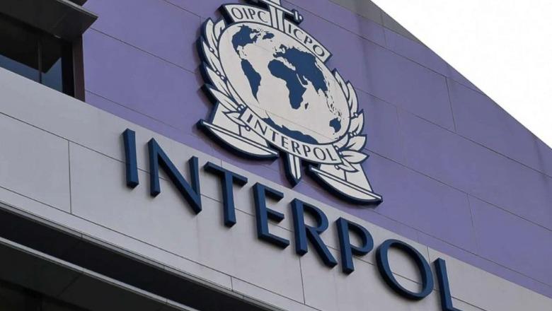 Në kërkim ndërkombëtar si anëtar i një grupi të strukturuar kriminal, ekstradohet nga Gjermania 29-vjeçari shqiptar 1766143386 interpol