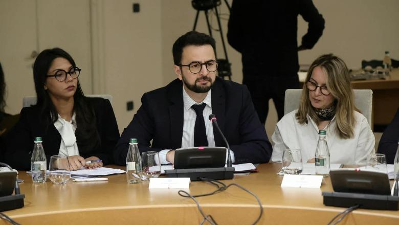 Avokati i Popullit: Policia të mos përsërisë shkeljet ndaj të miturve në protestë AP