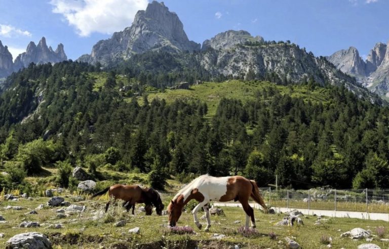 Media franceze: Shqipëria, mes destinacioneve më tërheqëse për të udhëtuar në tetor IMG 0469 768x493 1